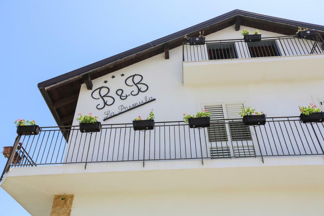 B&B La Primula Piazza Armerina Exterior foto